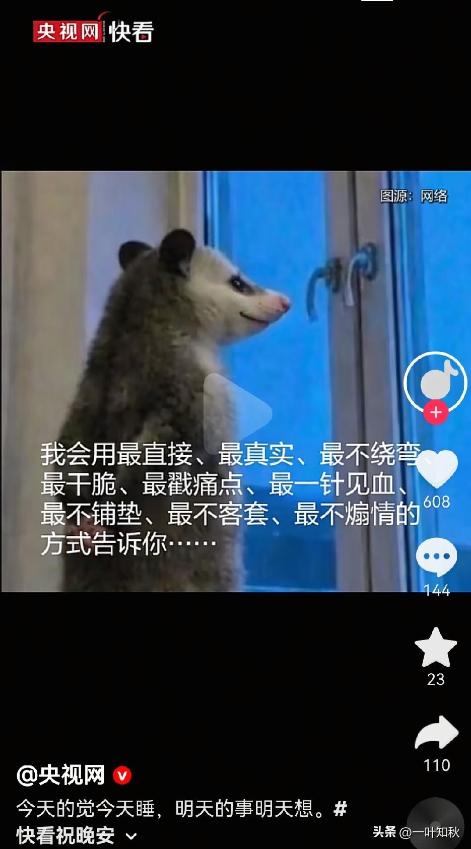 央视发了一只小小熊。