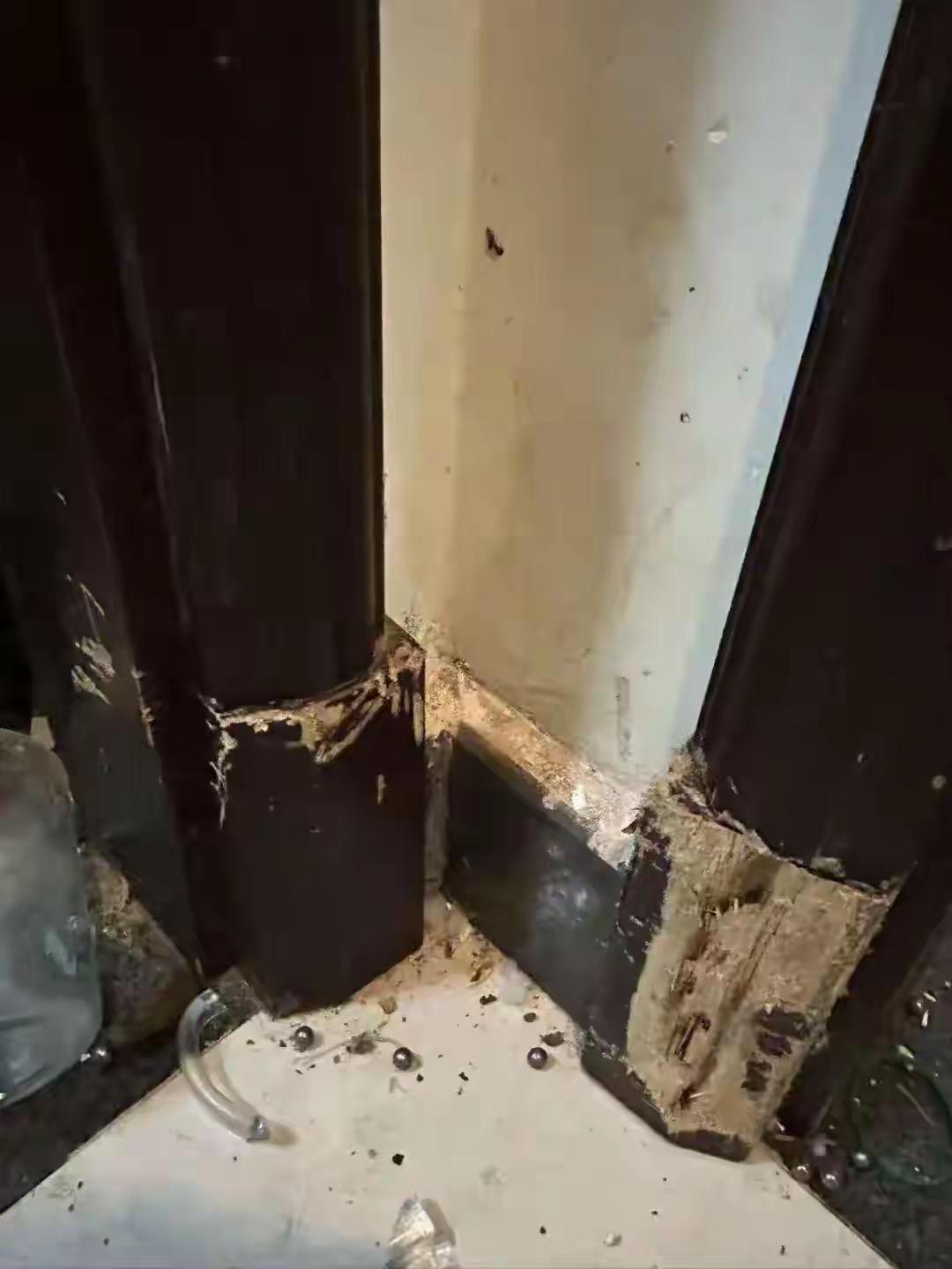 气炸了！昆明石女士体谅刚毕业的杨女士，心软租房还同意分期交租，对方却偷偷养狗，把