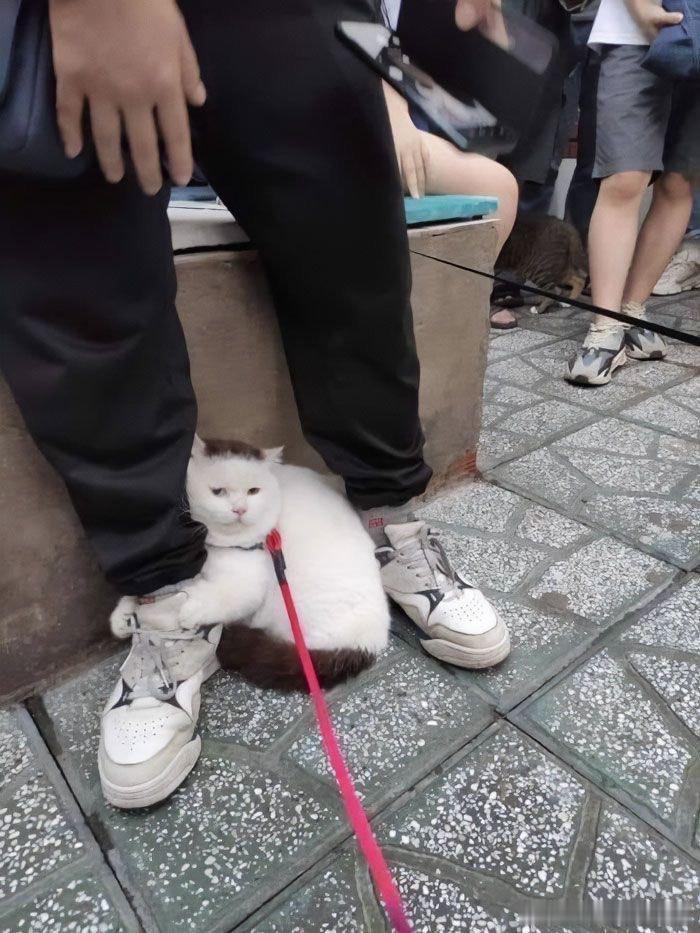 社恐的我在聚会时缠着唯一认识的人 ​​​