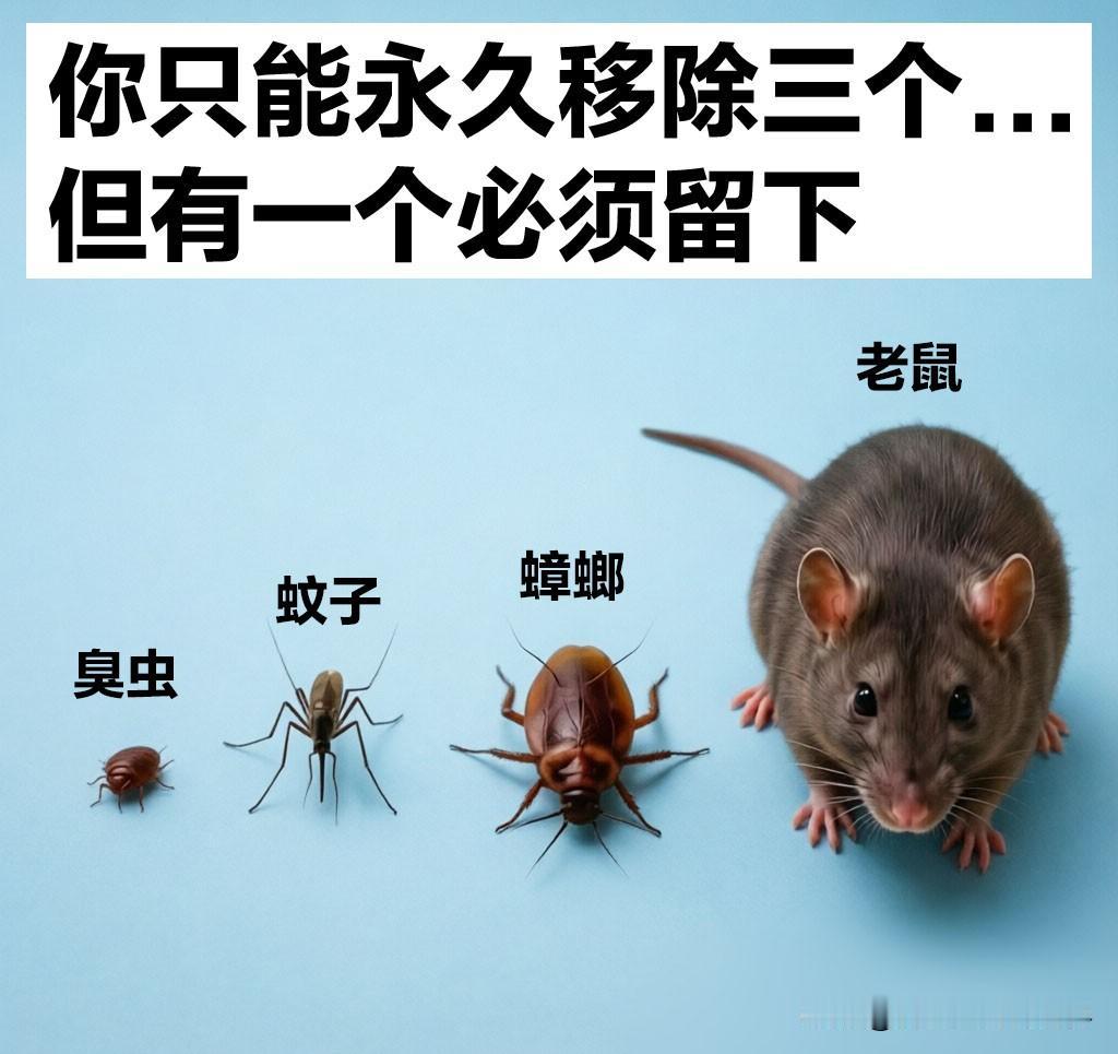 你只能永久移除三个...
但有一个必须留下。

我选老鼠留下！
全球统计过杀人最