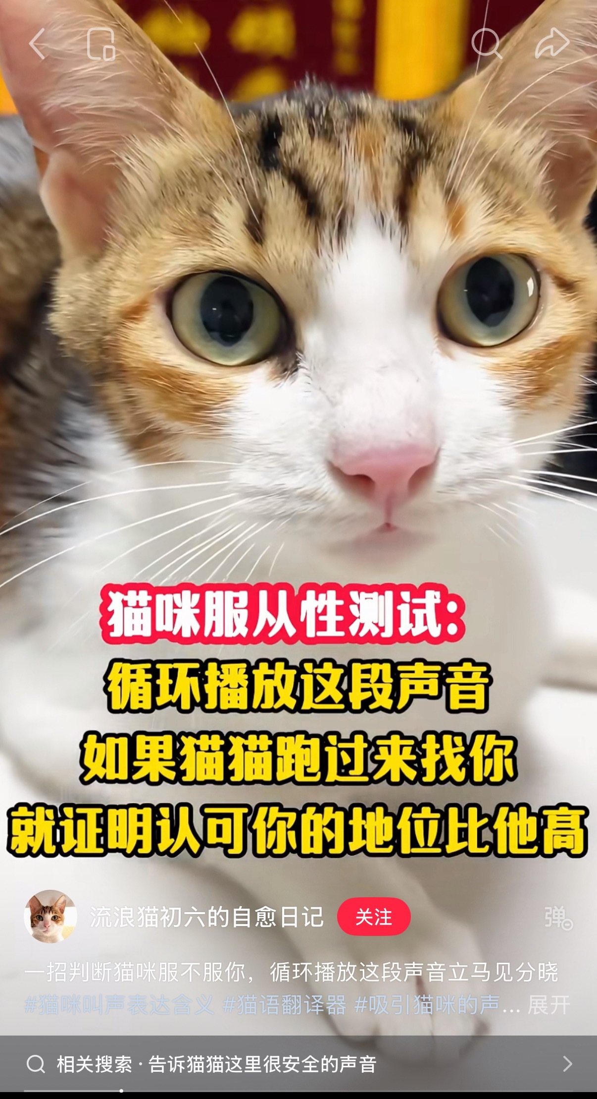 盒盒我儿果然翻个身掉个头继续睡了