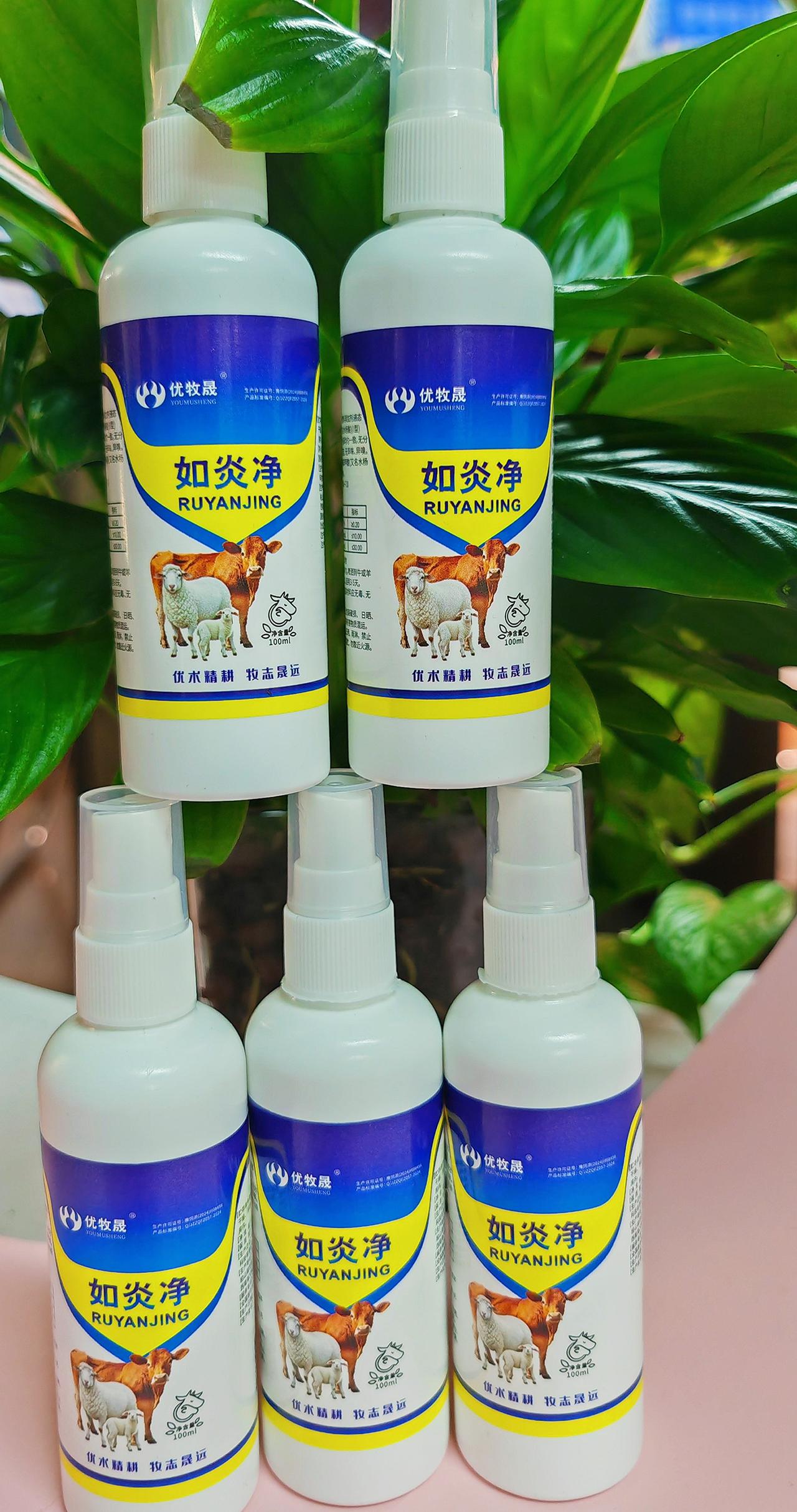 养羊人 农村养羊 养羊技术