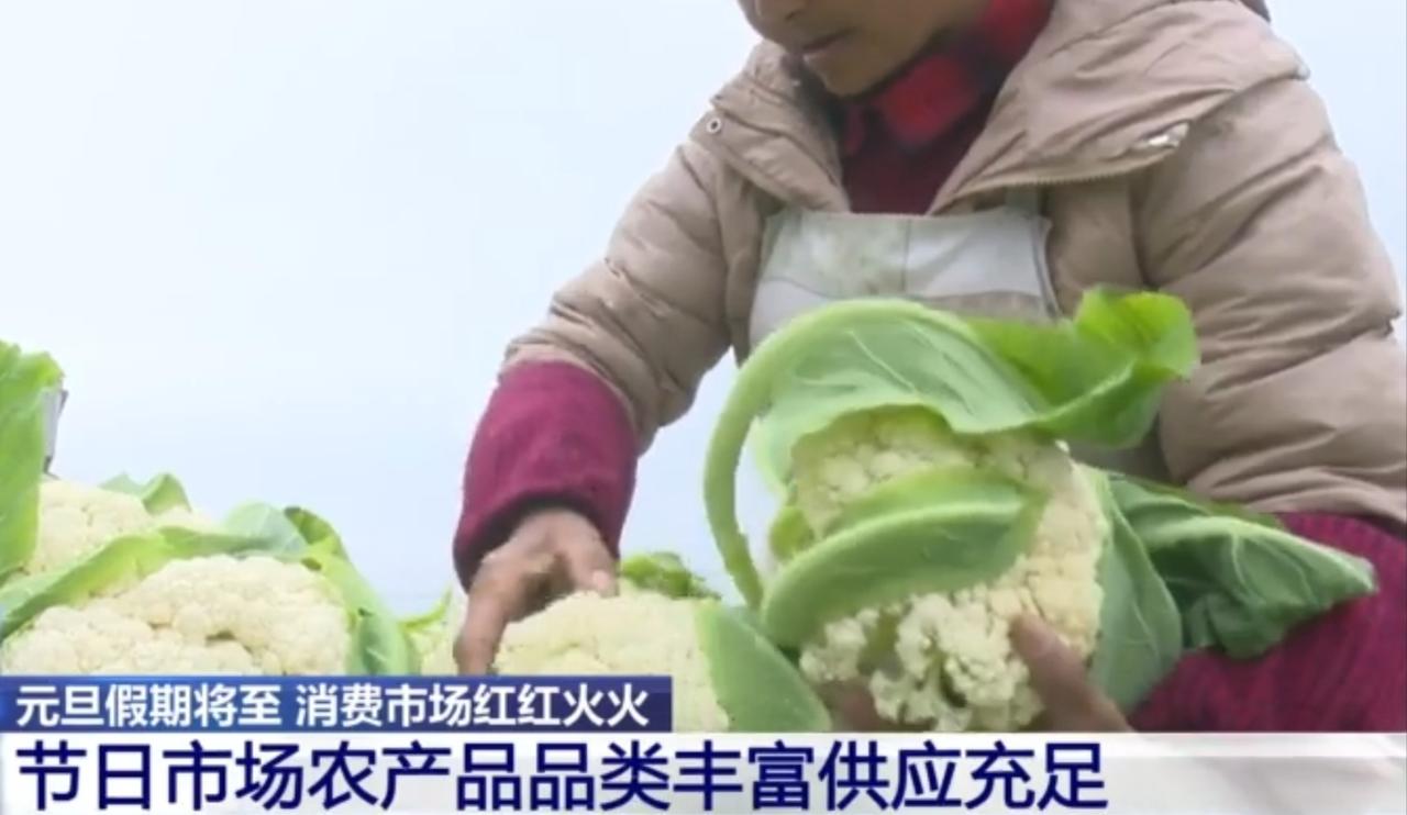 元旦假期脚步渐近，2026马年的喜庆氛围也提前点燃了消费市场。田间地头里，菜花饱