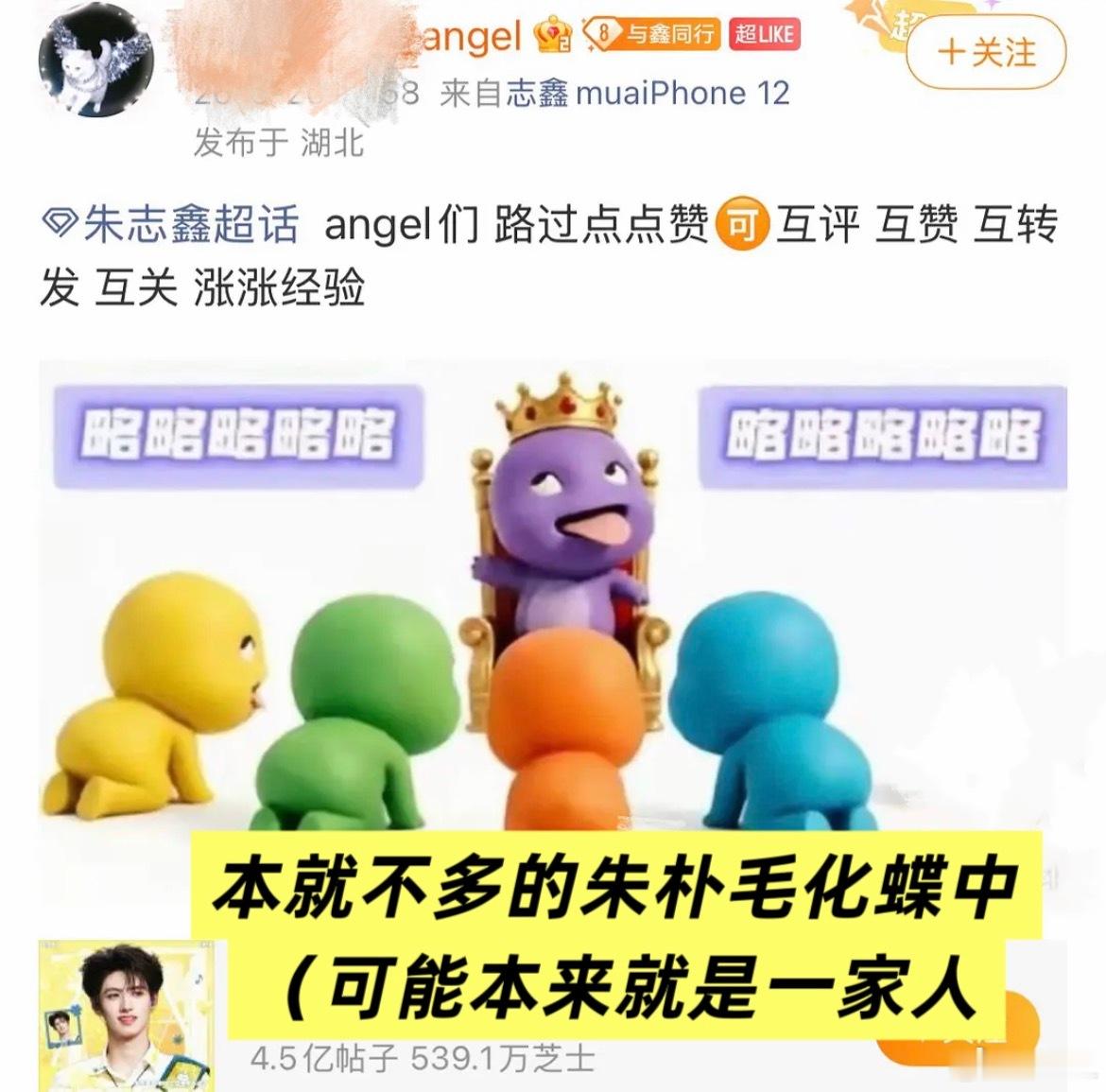 好肆意啊可能本来就是一家人吧。朱朴毛—1‼️ 