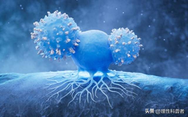 癌细胞为何能够无休止地繁殖下去，而不产生凋亡？
