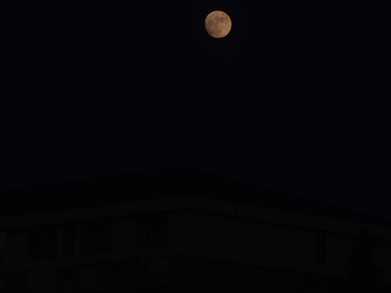听了多场直播后，我发现，最需要上补习班辅导班的是家长而不是学生

家有中考生，我