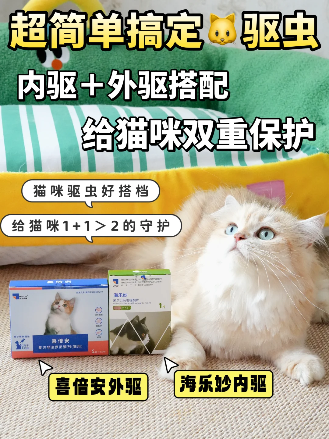 驱虫必备好物！铲屎官们赶紧来做功课