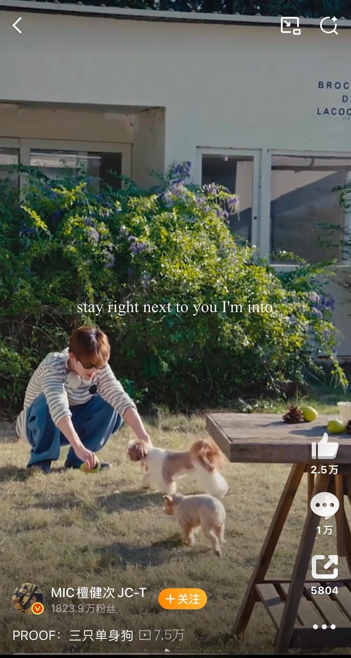 檀健次晒了自己和两只狗狗，并配文“三只单身狗”，这是对热搜刘一诺绯闻的回应吧