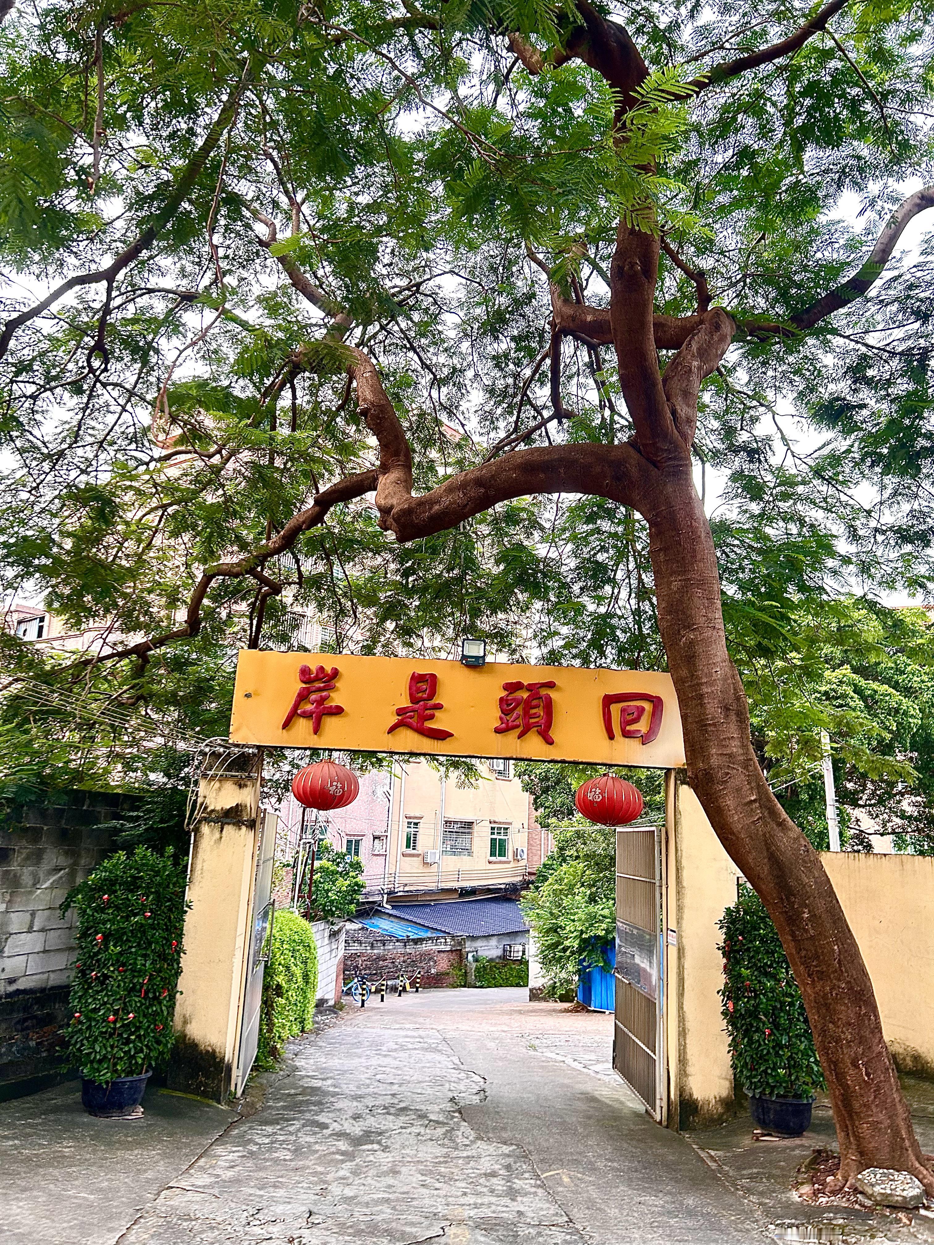 今天的运动感受就是很难受。感觉半年没跑了，跑山四圈5公里，燃尽了！慢慢恢复！跑步