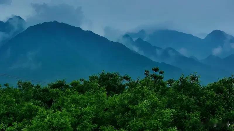 见“绿叶重重美”上联
瞬间激起我对对联的兴致
对联要对仗工整、意境相符
我觉合适