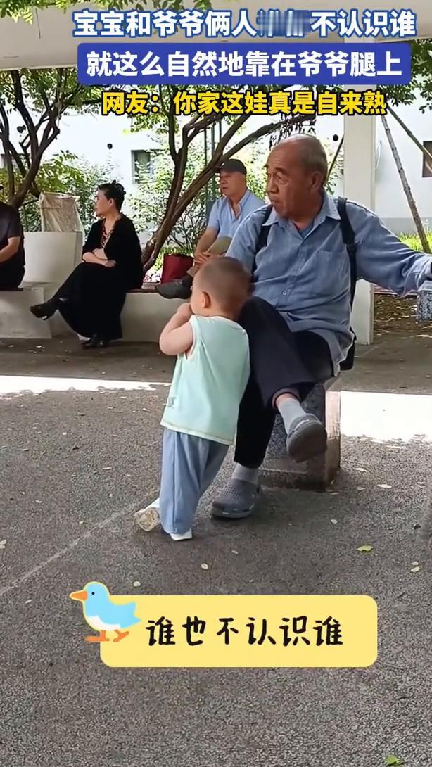 宝宝和爷爷俩人谁都不认识谁，就这么自然地靠在爷爷腿上。网友：你家这娃真是自来熟，