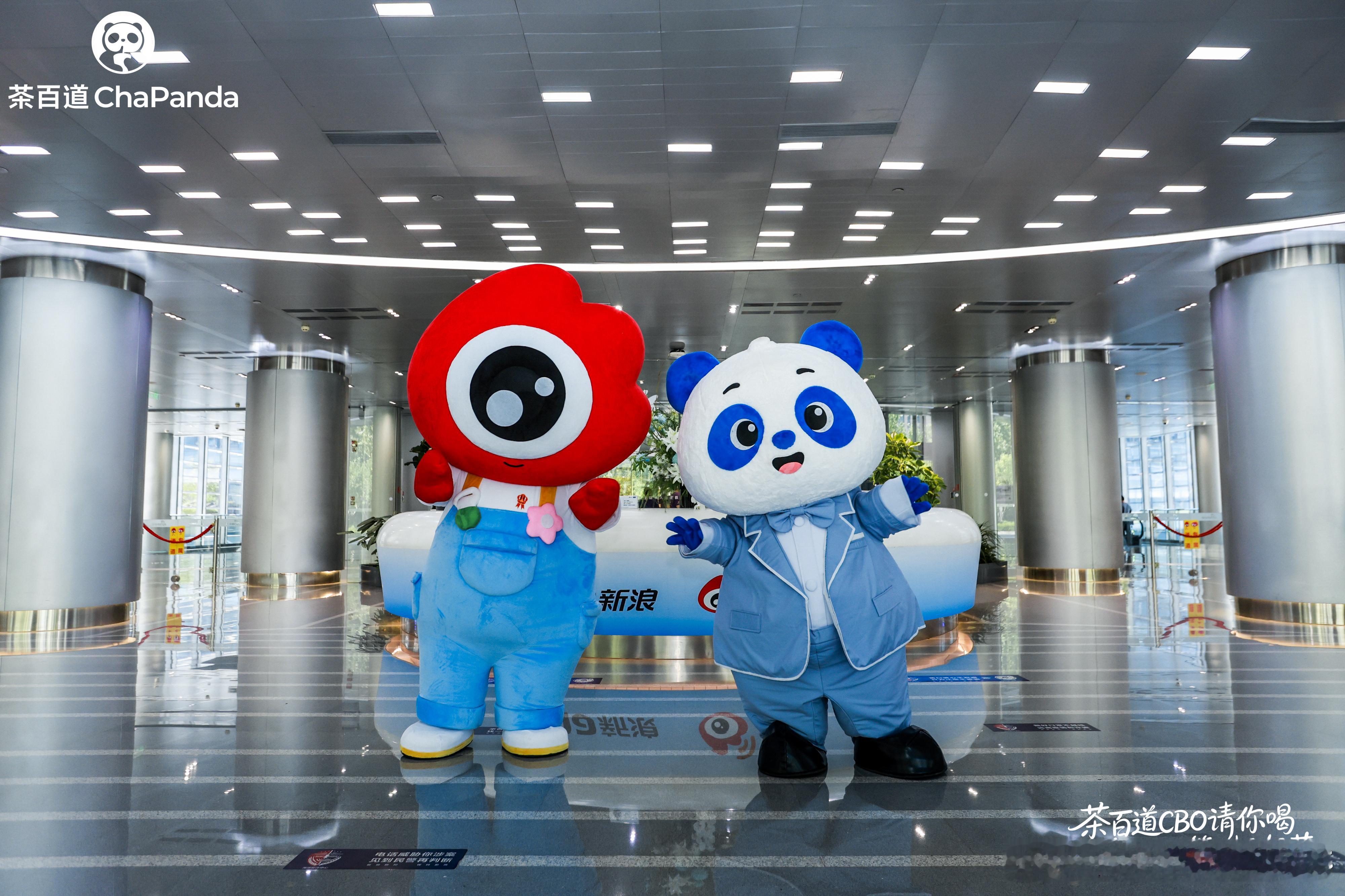 茶百道CBO空降新浪总部 整理了一堆茶少新浪扫楼搞笑名场面，笑到停不下来！现场员