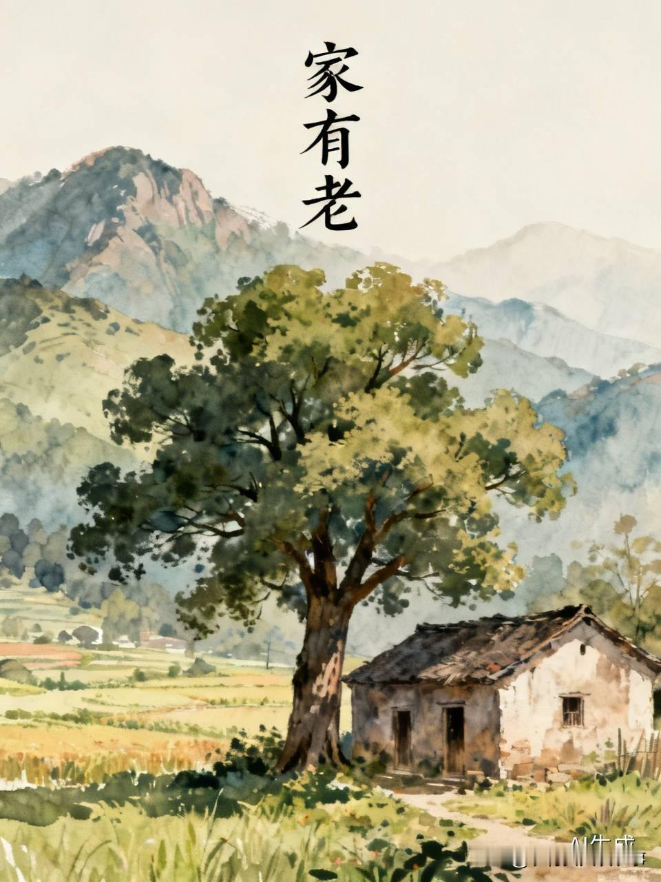 我们姐弟几个都被老娘愁哭了。
昨天晚上，照顾老娘的二姐和我诉苦，说老娘太折腾人了