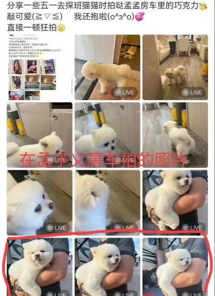 7月30日，孟子义经纪人为把陌生人带入孟子义房车向大家道歉，起因是孟子义的一个粉