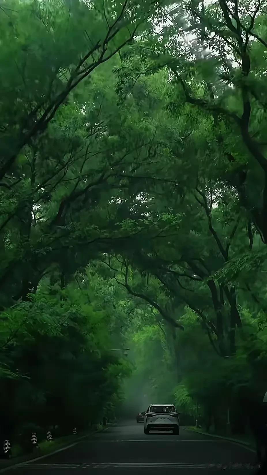 风调雨顺对仗什么最好? 物阜民丰