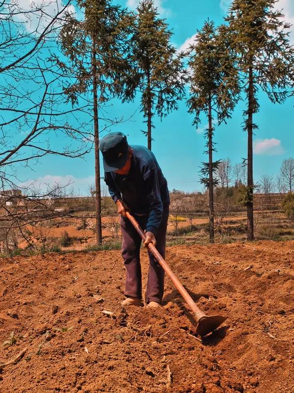 农民养老真是个让人头疼的问题。城乡二元结构影响深远，上世纪九十年代城镇职工有了社