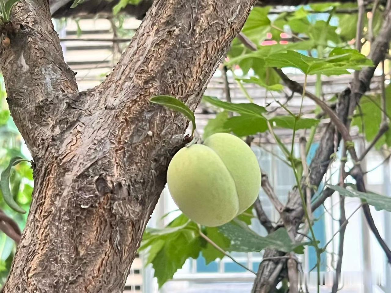 夏日生活打卡季一杯凉饮，一段慢时光，把浮躁慢慢抚平。在平凡日常里捕捉细碎美好，接