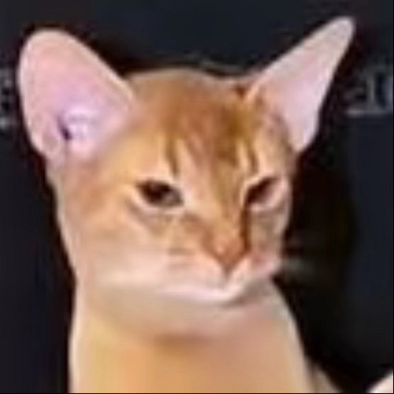 好无聊的互联网 