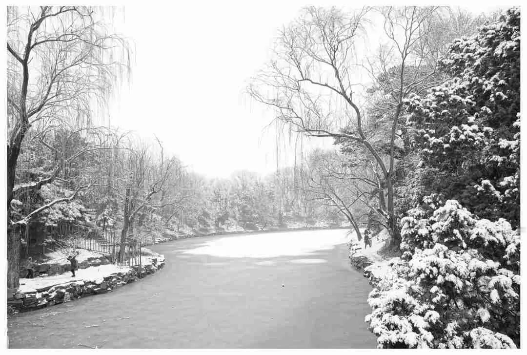 《情牵冬季》七律
寒天冻地雪纷飞，爱念深时暖未稀。
玉树琼花添韵致，红炉绿蚁共相