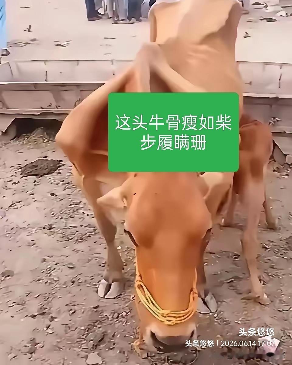 我们的慢牛行情还有吗？过去的两年，在做大做强资本市场的引导下，在村里出台一系列监