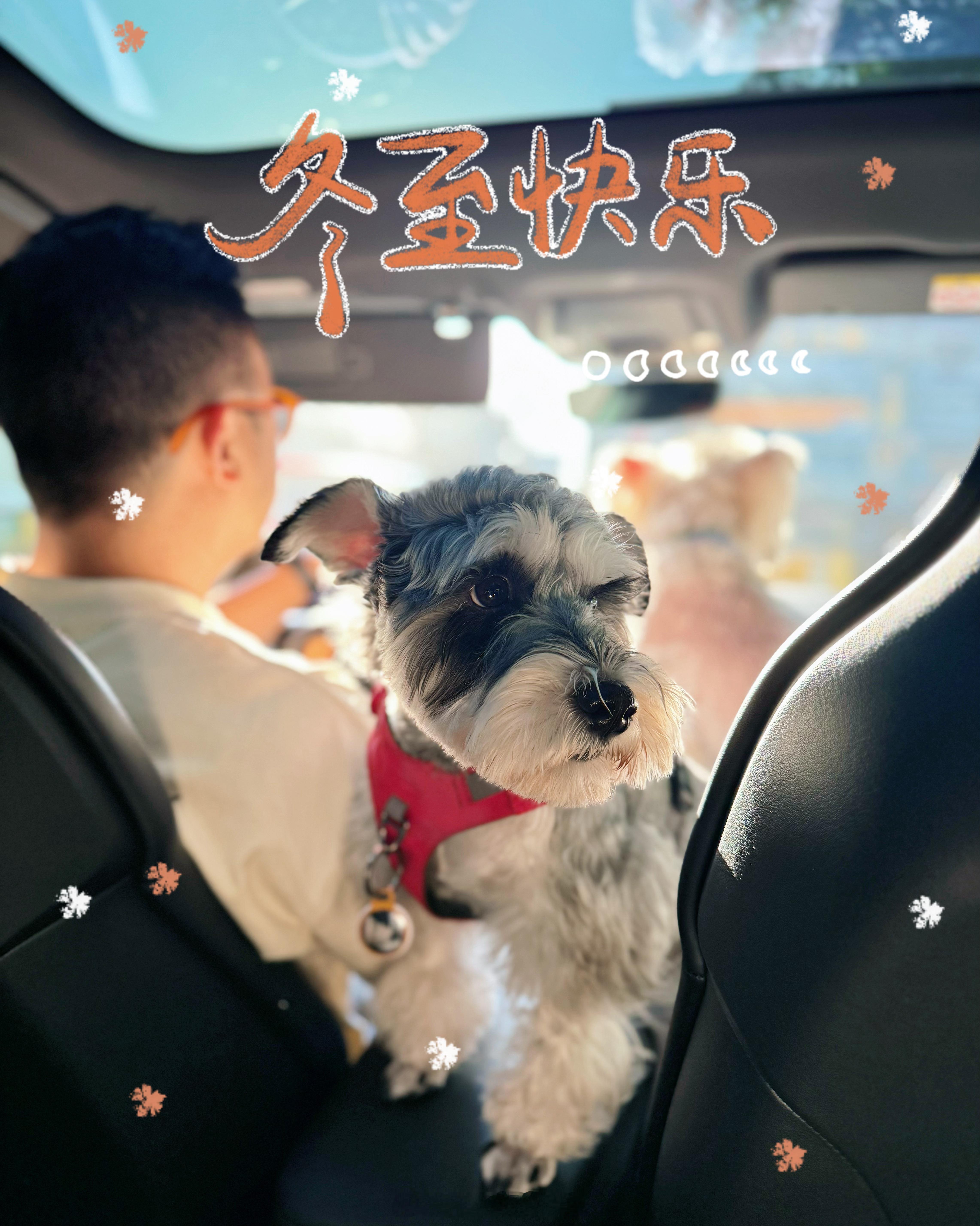 冬至快乐🥟冬至快乐