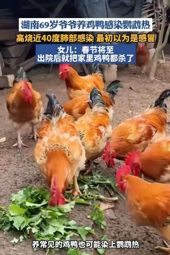 🌙悲剧还是发生了！湖南，一老人为了打发时间，在自家院子里养了20多只鸡鸭，结果