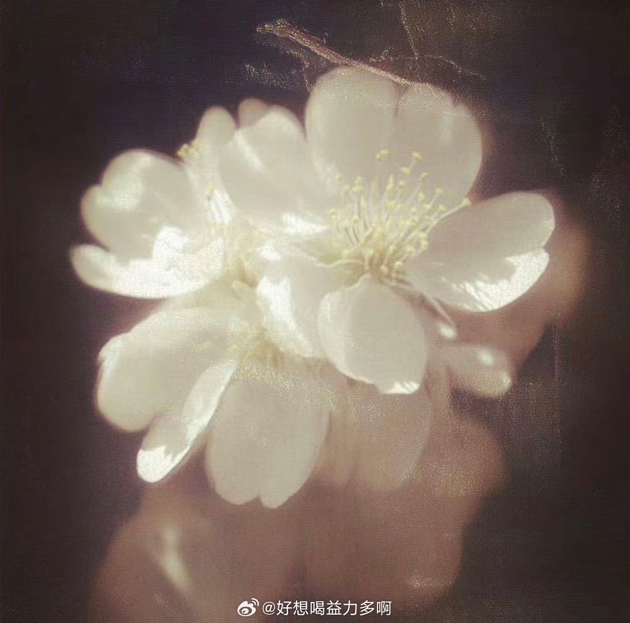 1500行善不为标榜，只为内心坦荡。力所能及给予一份善意，便是最好的修行，不求世