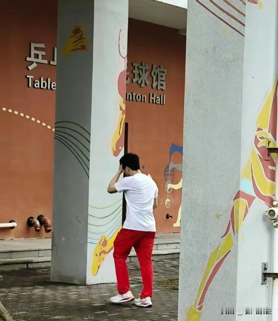 好消息，樊振东终于参加比赛了！

激动人心的消息传来，樊振东已全面恢复训练，即将