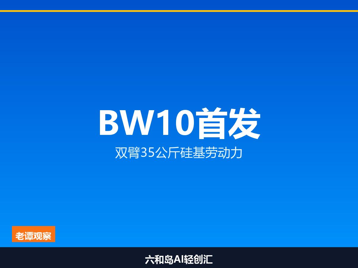 博银合创BW10首发 双臂35公斤的硅基劳动力来了

成立不到一年签2000台大