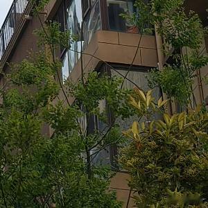 每日一善每日一善 人生无常，最重要的不是你处的位置，而是你所朝的方向。你不能决定