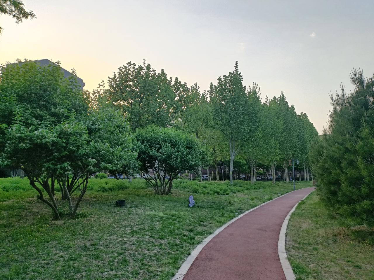 如果实在没有时间练拳，
那么或者早上或者晚上，
打打坐，这个和站桩一样的效果，