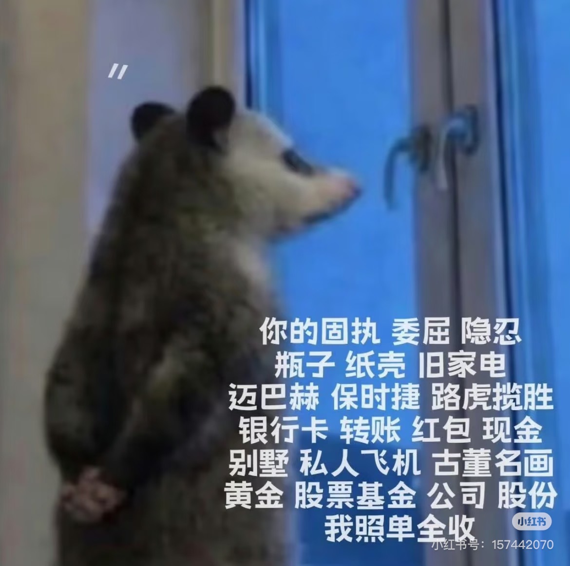 怕时间短来不及我站到高铁站车门前，背着手看山发呆等停靠，朋友说我好像这只负鼠啊啊