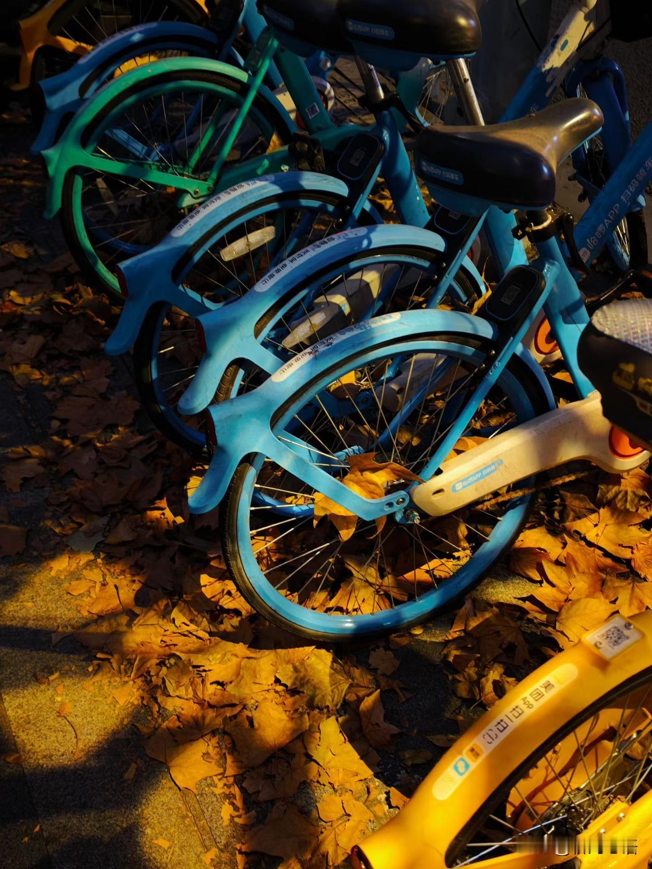 门开得比陈峰预想的快。

丈母娘披着外套站在暖黄色的光晕里，什么都没说，只是侧身