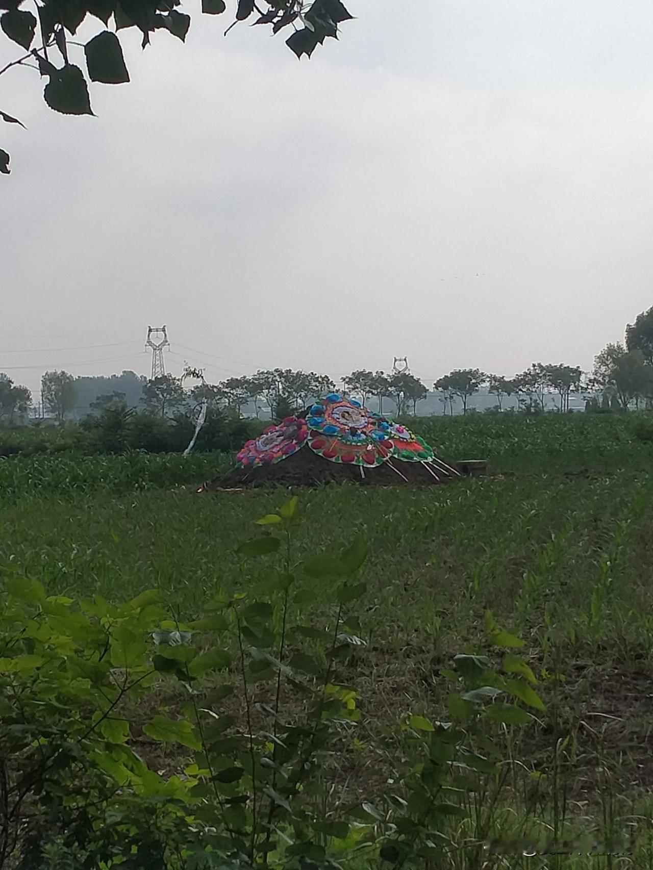 在这个不大的村庄里，近几日接连有三人突发心梗。这三人都是六零后，其中男性经过治疗