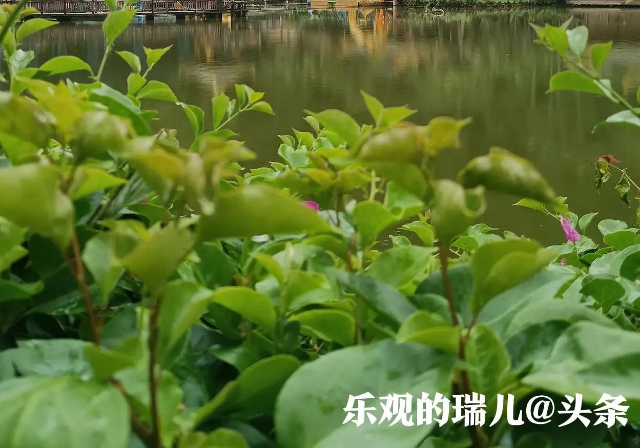 朋友们，你们有没有觉得？
一个男人最大的悲哀，不是你有没有事业，你是不是功成名就