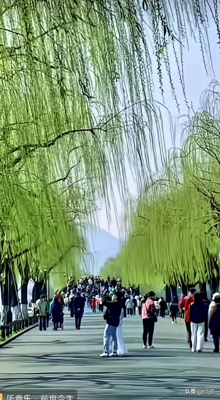 [偷笑][偷笑][偷笑]我写向阳花，原来向阳花也在头条呢！
她还在别人的评论底下