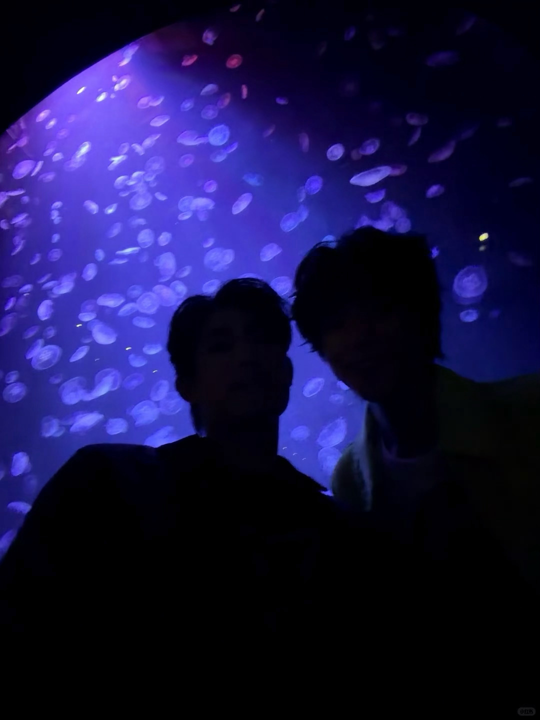 什么工作什么痛苦什么原生家庭的不幸…….我全都忘了。看到家产发的这组图我眼泪唰啦