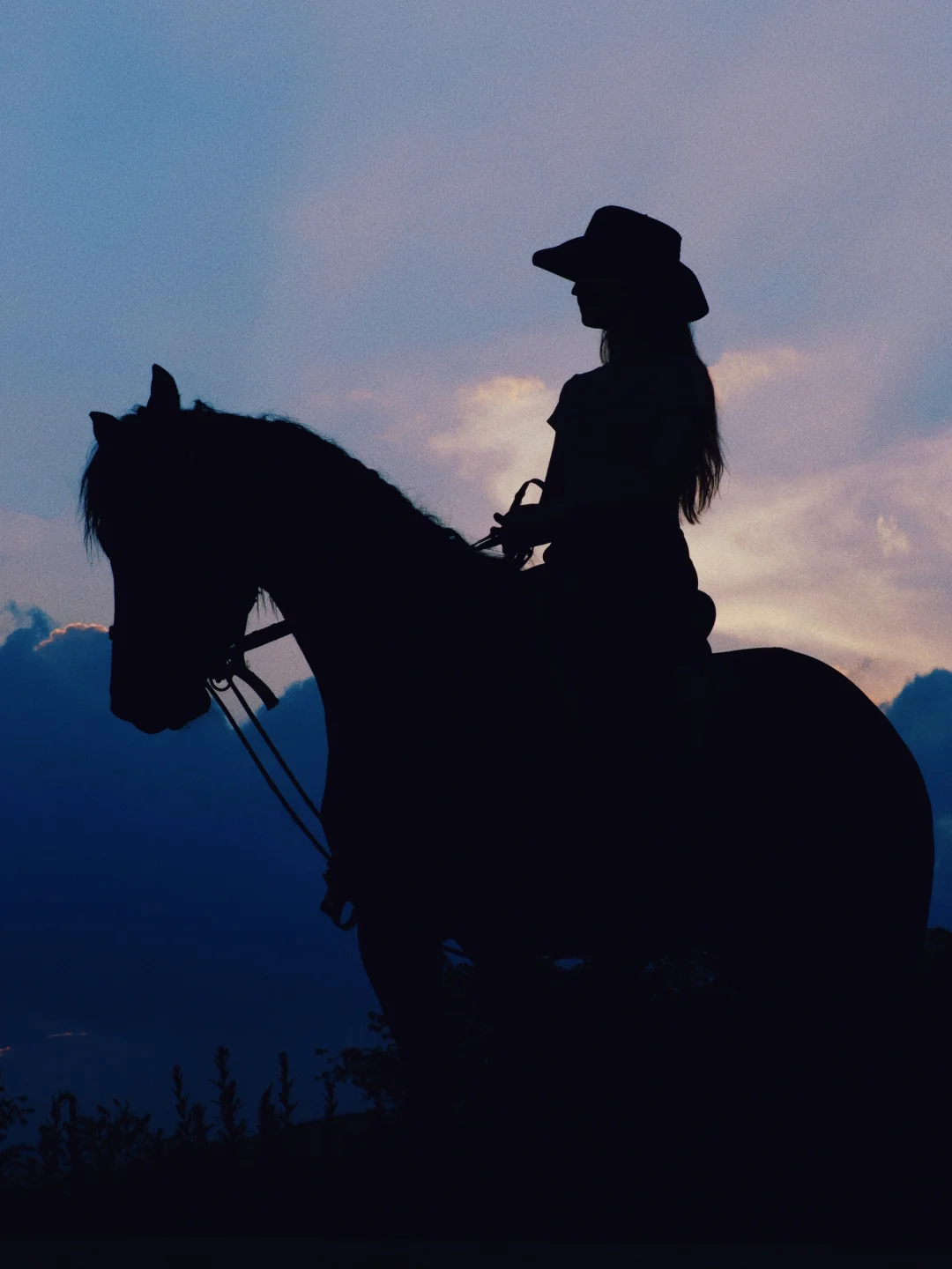 昆明的夏天太晒了，晚上才适合跑出来骑马