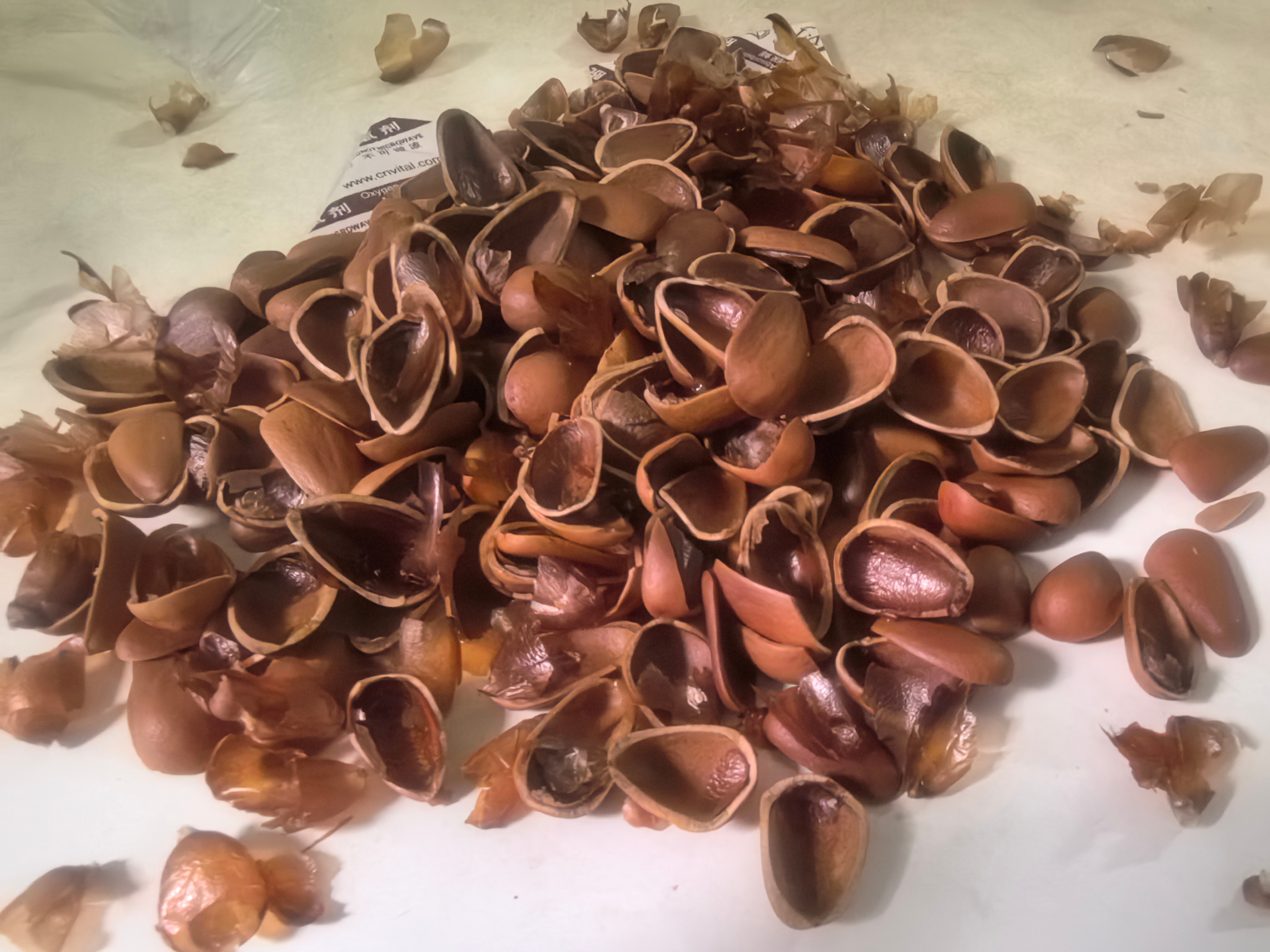 这玩意还不如瓜子。