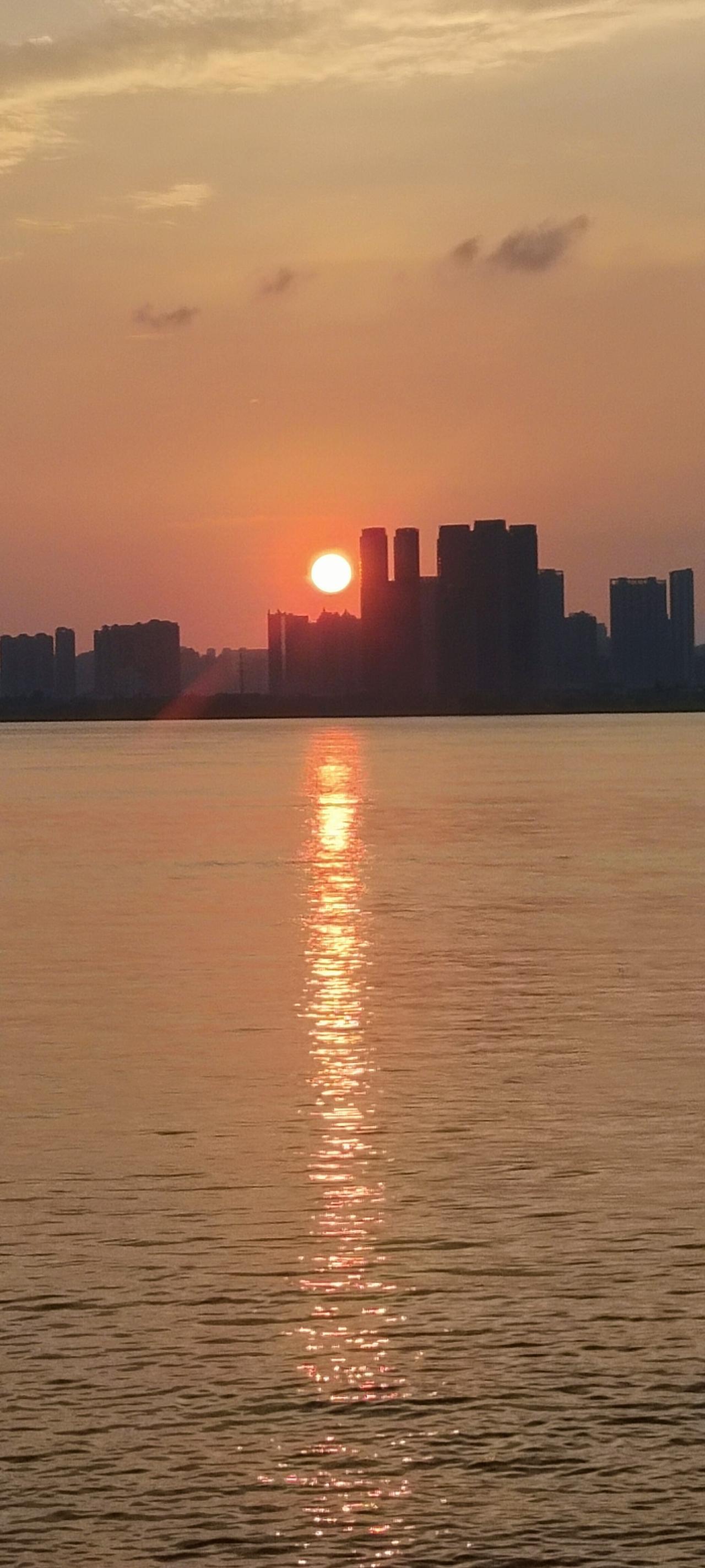 今年的暑期档，
有什么好看的电影推荐吗？

在线等，挺急的

12岁的儿子
这几