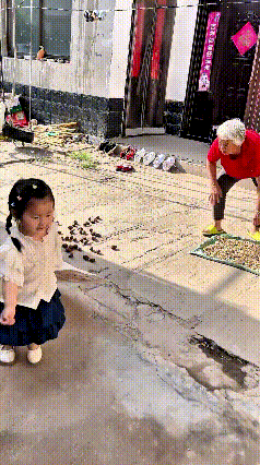哎呀妈呀老铁们！
你瞅瞅这小祖宗多能作妖啊！奶奶好不容易晒好的干货，让她一把就薅