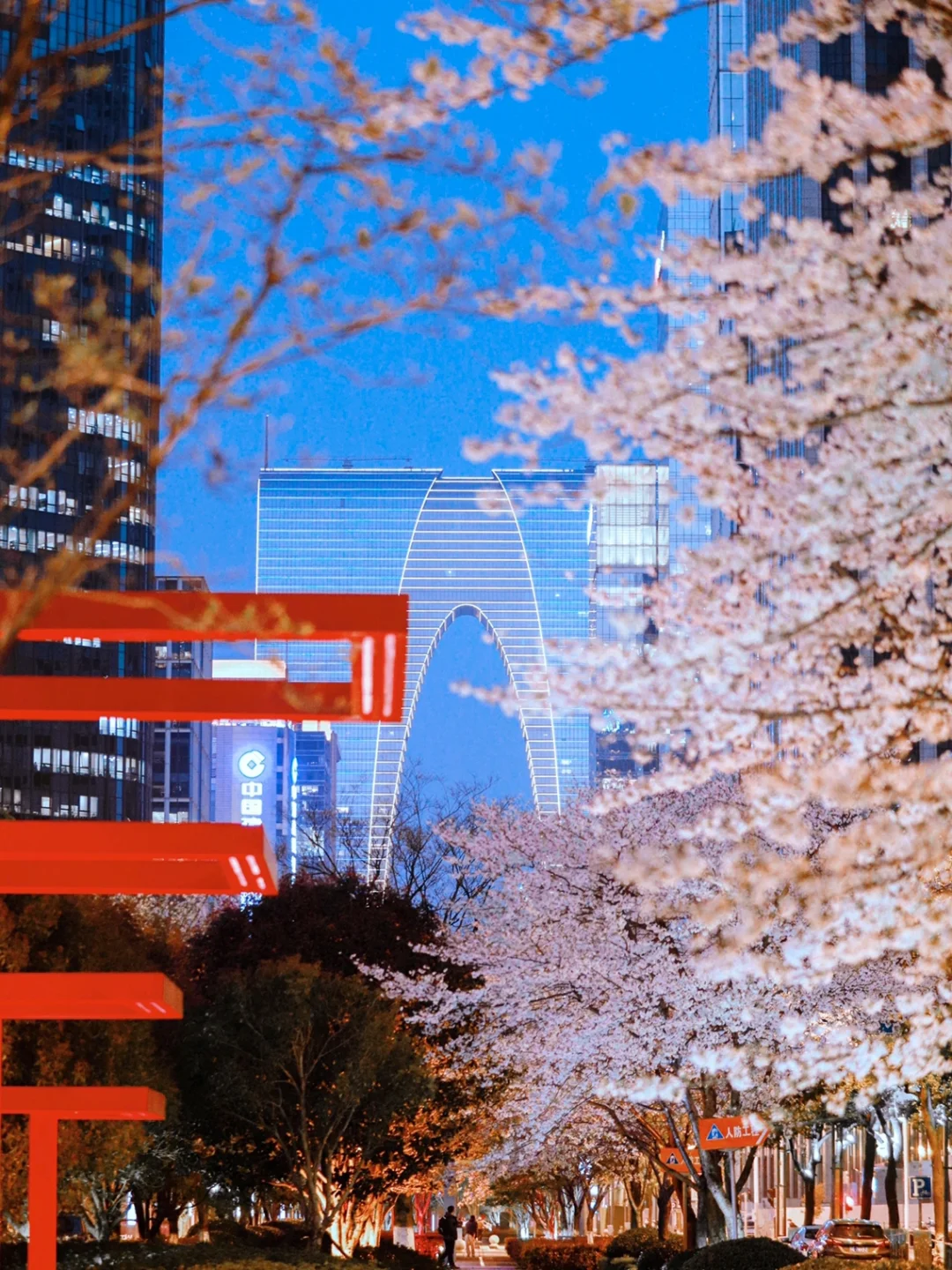 苏州打卡｜苏州园区醉美夜樱