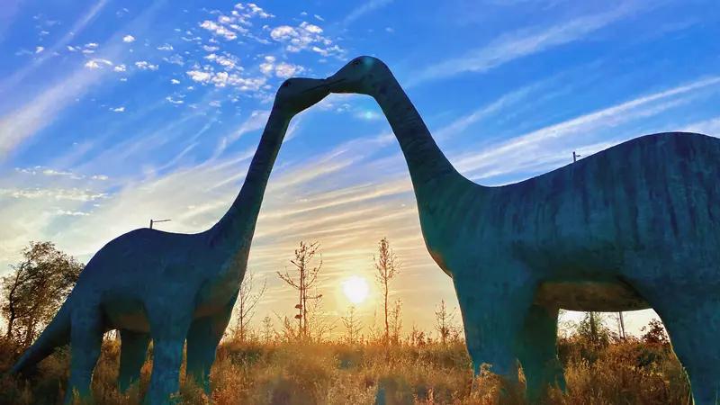 诸城市恐龙公园简直是个宝藏地！之前去玩，一进公园就被那浓厚的恐龙氛围包围了。园区