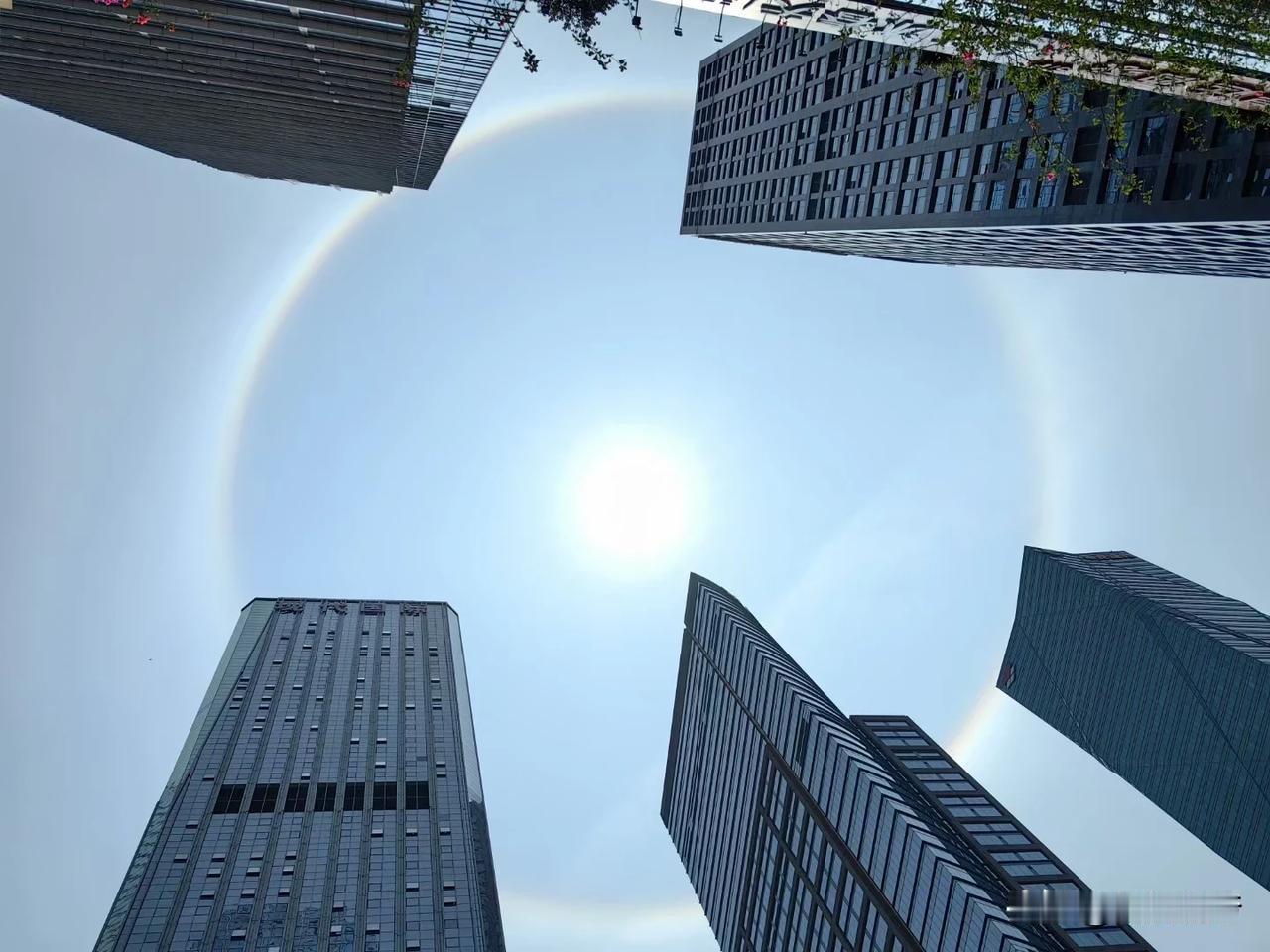 4月10日中午12点，深圳的天空，出现了日晕，太阳旁边有个大大的光圈，也不像是彩