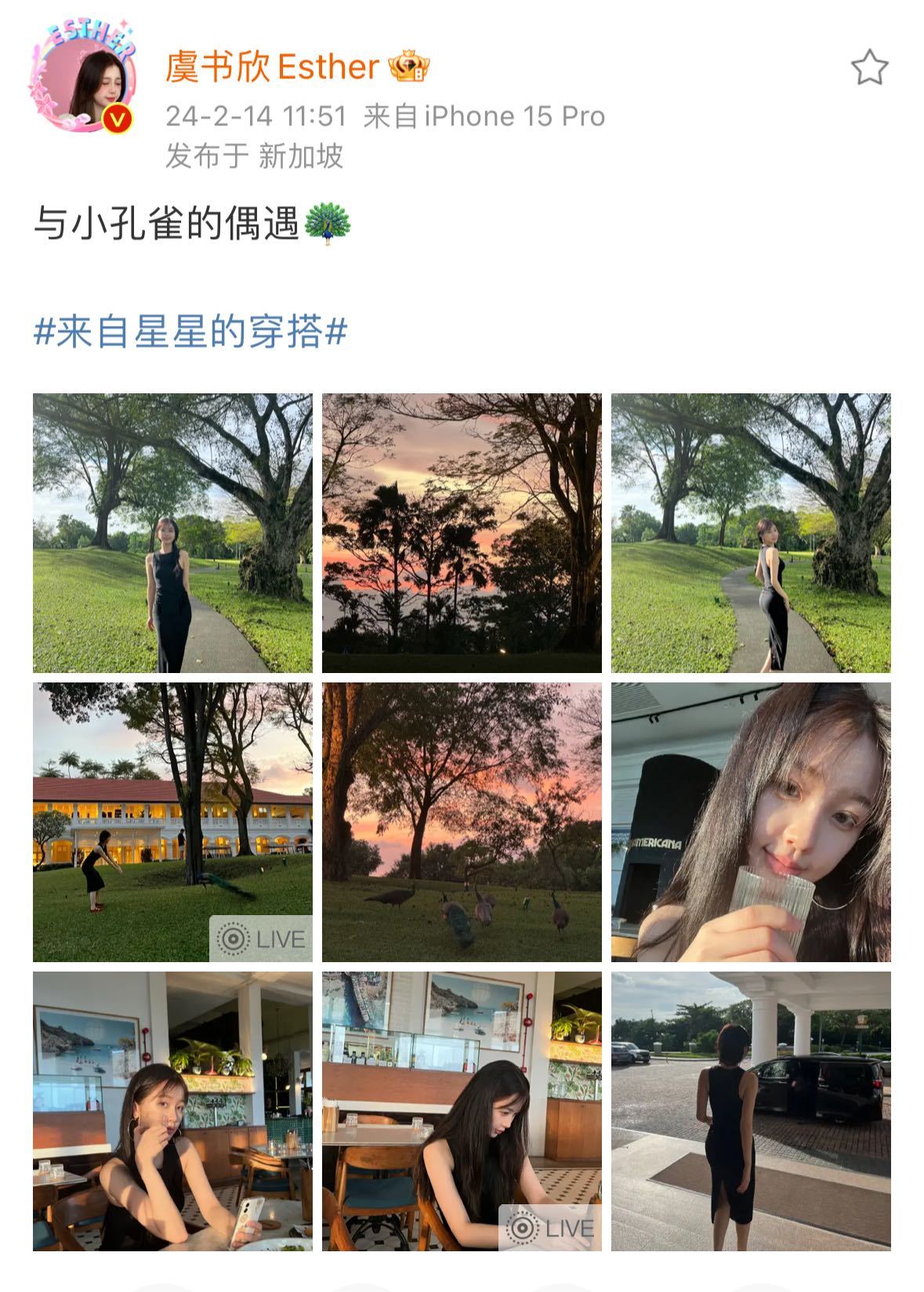 #虞书欣新春旅行碎片# 春节旅行记录🈶在阳光下肆意生长的感觉也太棒了！还能偶遇