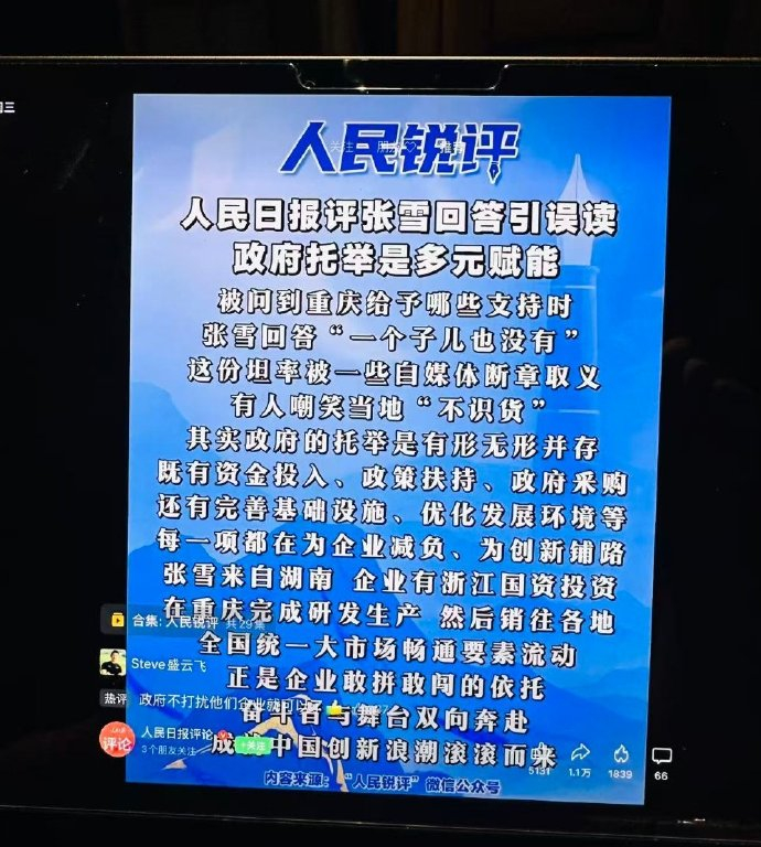 人民网对于张雪的采访做了点评简单明了的说，重庆政府做的没问题，没有拿着大棒干预，