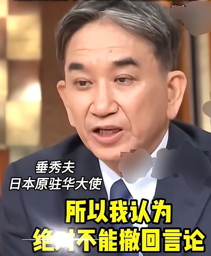 11月26日，日本前驻华大使垂秀夫叫嚣说，不能撤回首相高市早苗的涉台言论，她是日