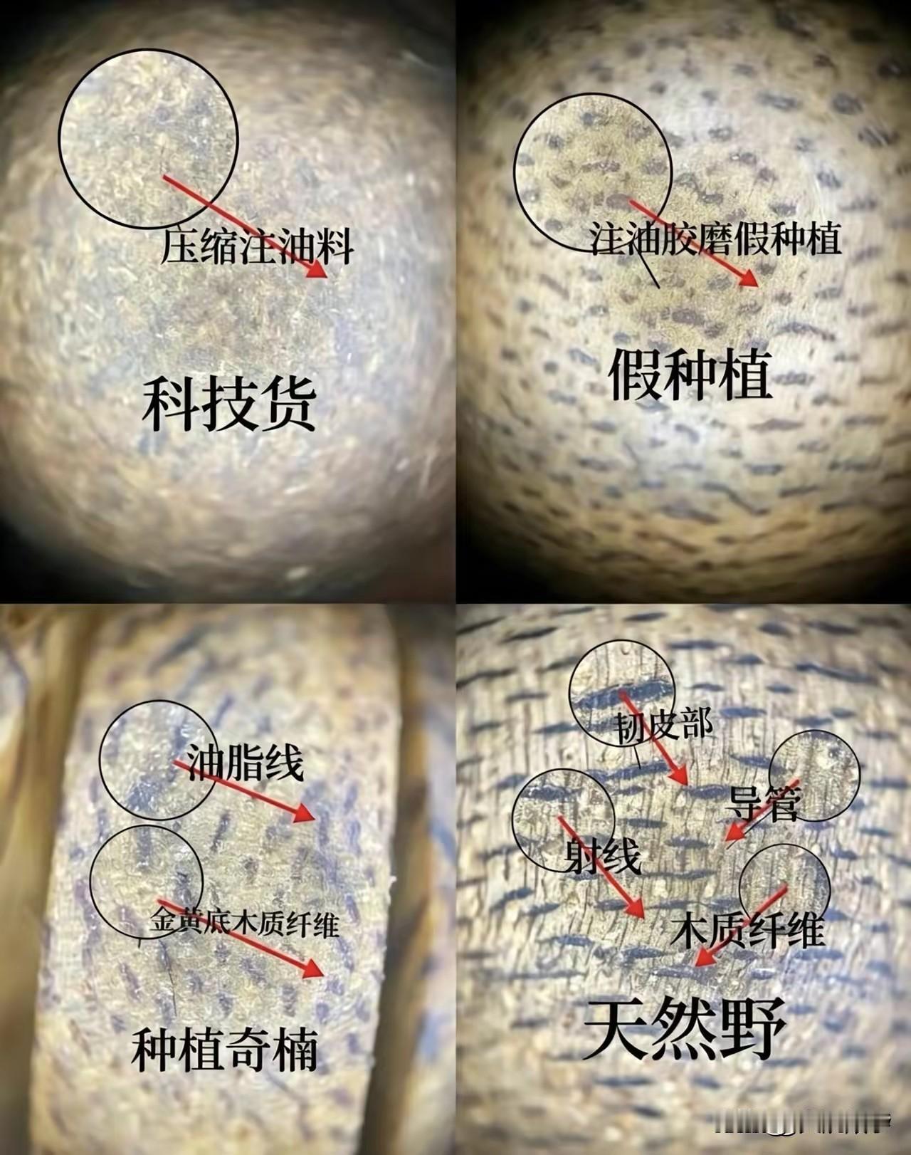 等待吃饭中，[呲牙][呲牙]。顺便说说沉香。