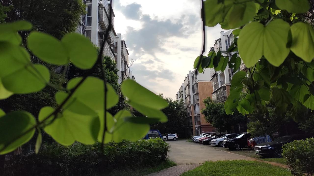 夏日炎炎，在清晨看到这样充满诗意的风景，心情瞬间愉悦了很多，感觉一天都充满活力！