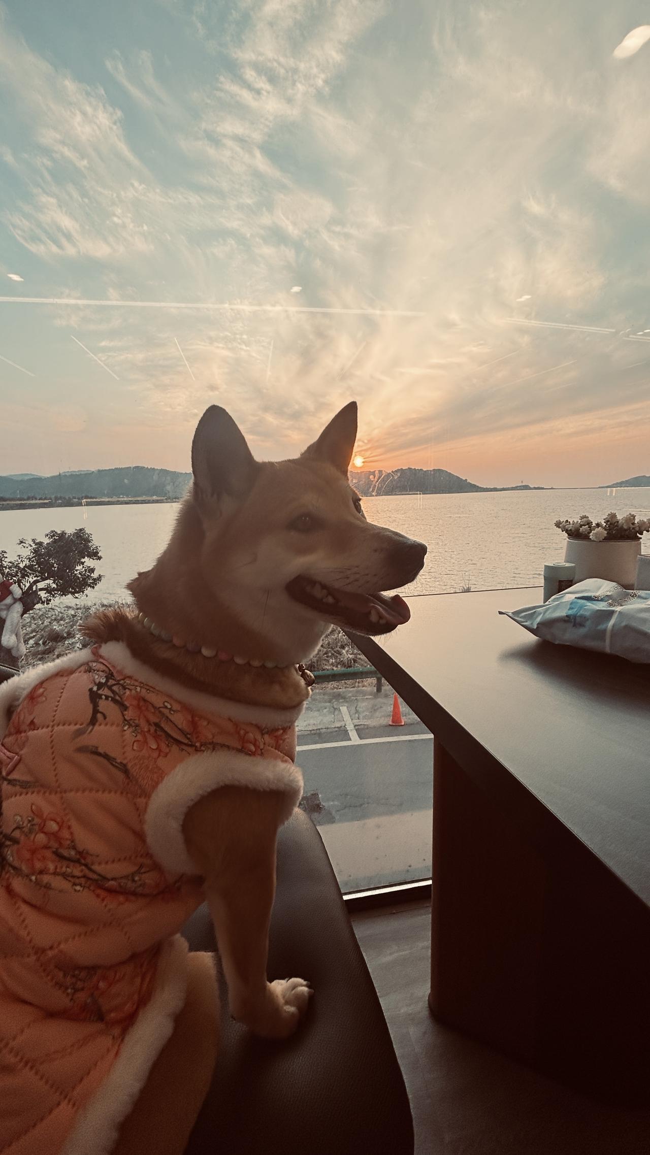 今年春天最想实现的心愿 今年春天，我最想实现的心愿就是去一趟江南古镇。想象一下，